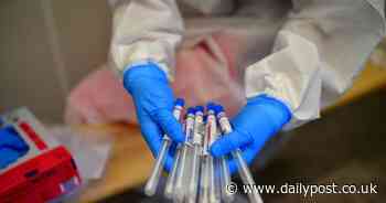 New coronavirus cases confirmed in North Wales - but no further deaths - North Wales Live