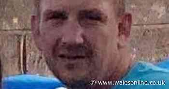 Body of missing Swansea man Paul Newcombe found in wooded area - Wales Online