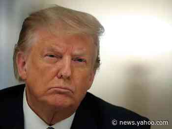 Former top-ranking Trump official endorses Biden, saying working under the current administration was 'terrifying'