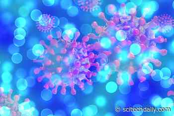 COVID-19 Treatment Possible As Preexisting Drug Shows Promise in Fight Against the SARS-CoV-2 Virus