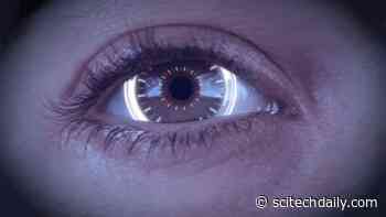 New “Cyborg” Technology Could Enable Merger of Humans and AI