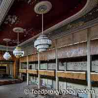 Survival: Hibernate Or Adapt?