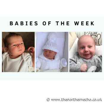 Is your newborn among our Echo babies of the week?