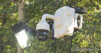 Edmonton police set up CCTV camera in Mill Creek Ravine following attempted sexual assault - Global News