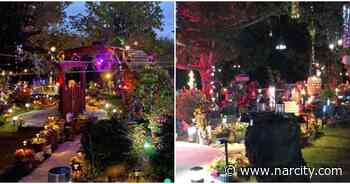 An Edmonton Man's Stunning Backyard Light Show Is Now Open For You To Visit - Narcity Canada