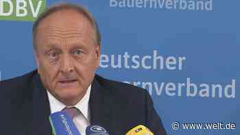 Bauernverband stellt Erntebilanz 2020 vor