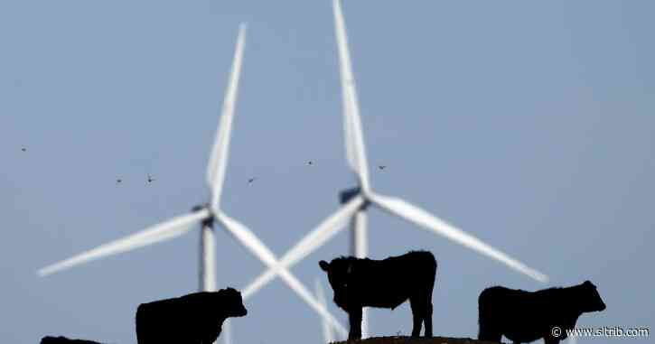 Letter: Cattle make climate change worse
