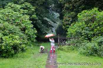 Entrepreneur gives £10000 to Herald memorial garden campaign - HeraldScotland