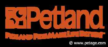 Entrepreneur Magazine Ranks Petland on Global Franchise List - Pet Age