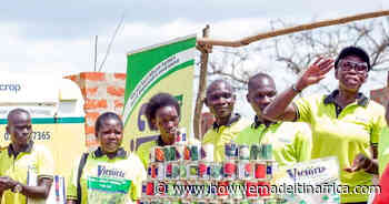 Entrepreneur builds thriving company by catering to the needs of small-scale farmers - How we made it in Africa