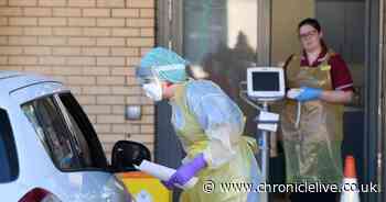 Campaigners call for coronavirus tracking to stay in public hands