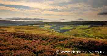 Durham wins gold and bronze at VisitEngland Awards