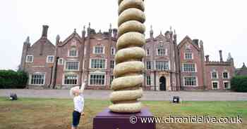 Turkey Twizzlers return to stores - and Bernard Matthews eyes school dinners