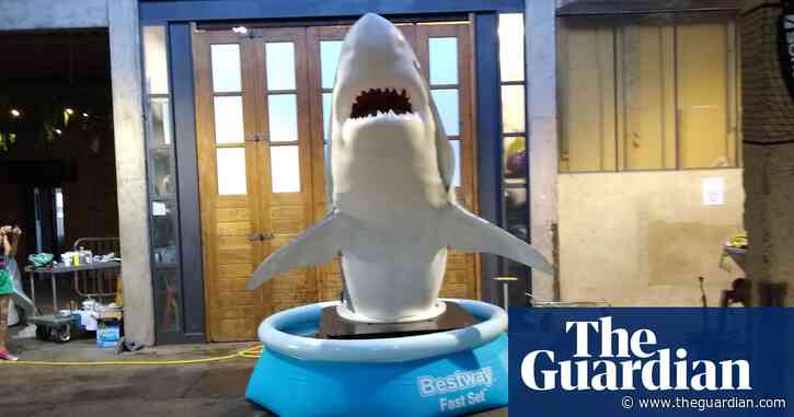 Sharks! Why are five man-eaters being unleashed into a popular canal?