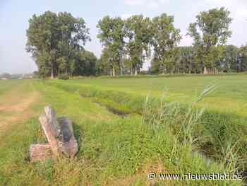 Vallei van Kleine Beek wordt opgewaardeerd met jonge bomen