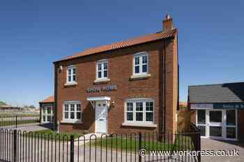 Persimmon sees sales surge and restores shareholder payout