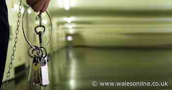 Bullying son jailed for making parents' lives 'a waking nightmare'