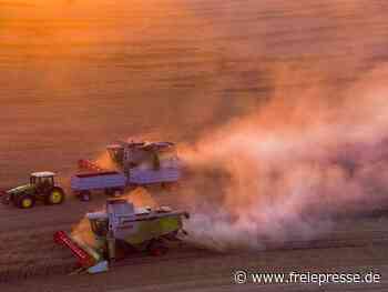 Wieder kein gutes Jahr für Bauern - Freie Presse
