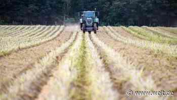 Landwirte fahren drittes Jahr in Folge unterdurchschnittliche Ernten ein