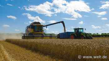 Wird der Steuerzahler jetzt zum Bauernopfer?