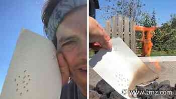 Ashton Kutcher Burns His Original Art for Futuristic Charity Auction