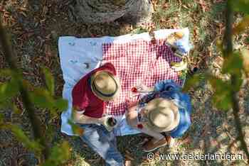 Picknicken in de achtertuin met duurzame én mooie spullen