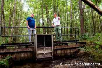 Help, de Veluwe loopt leeg! Waterschap wil zelfs water vasthouden in kleinste beken en sloten