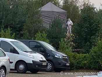 Autopsie op in België overleden Nederlands meisje (6) wijst niet op een val