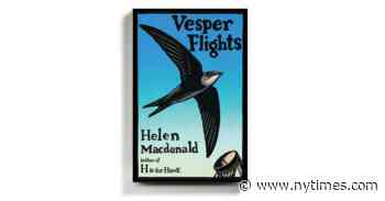 Helen Macdonald’s ‘Vesper Flights’ Sees Wonder — and Refuge — in the Natural World