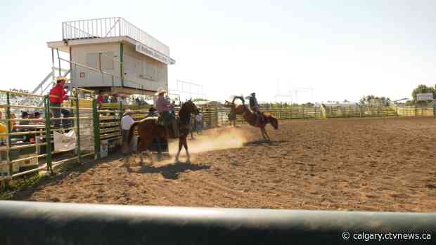 Back in the saddle: Rodeo school resumes in Strathmore, Alta.