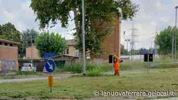 Ferrara e il taglio dell’erba: esame di riparazione per il Comune - La Nuova Ferrara