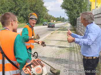 Sfalcio erba, al via la task force del verde. Maggi: "Ereditato situazione non adeguata" - Estense.com