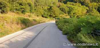 Erba alta pericolosa per gli automobilisti sulla S.P.103 a Montesano. Un cittadino scrive alla Provincia - ondanews