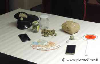 Monteprandone, arrestato 28enne con 155 grammi di “erba” in casa per vendita al dettaglio - picenotime