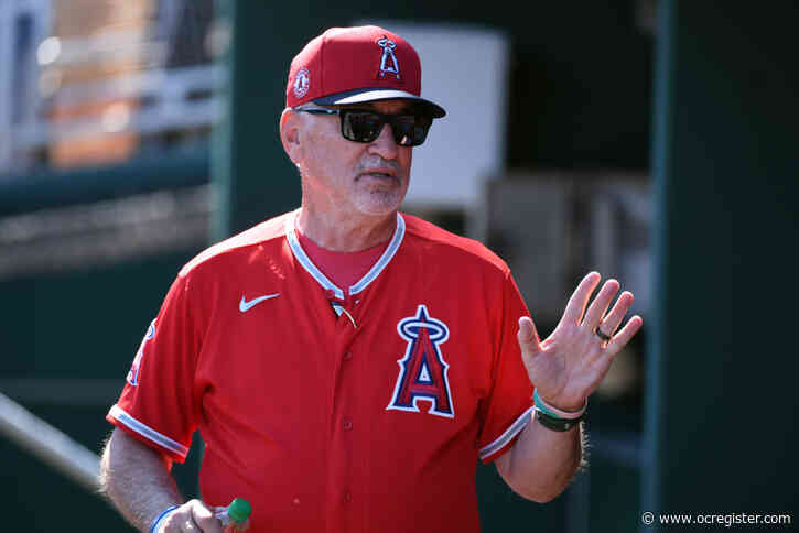 Angels’ Joe Maddon takes middle ground on Fernando Tatis Jr. controversy