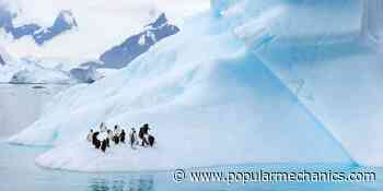 Scientists Just Discovered 11 New Penguin Colonies (From Space!)