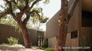 Dawnridge House by Field Architecture splits in two around giant oak tree - Dezeen