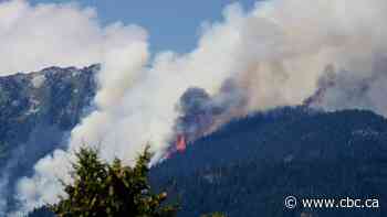 More than 70 new wildfires reported in B.C. after dry lightning