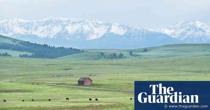 Is the way cattle are grazed the key to saving America's threatened prairies?