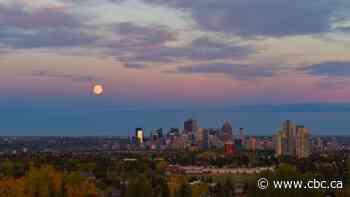 The heat of the night is when you can really feel climate change in Calgary