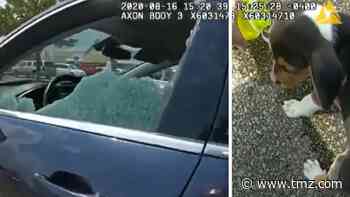 Ohio Cop Saves Puppy After Being Left in Hot Car for Over An Hour