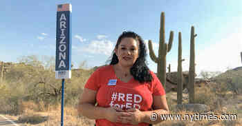 The D.N.C. Offers Calamari Counterprogramming