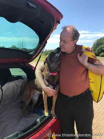 Forgotten Harefield pooch finds a home after 1,147 days