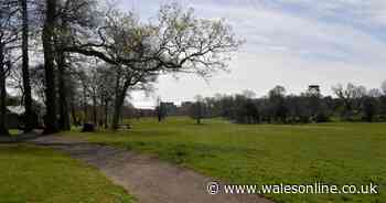 Man with no clothes on seen running through Swansea park and suburb