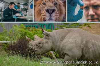 Chester Zoo 'still in highly perilous position' as it renews plea for Government support