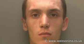 'Swaggering' teen stabbed love rival and missed his heart by 1cm