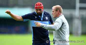 Welsh rugby transfer coup finally solves Cardiff Blues' lingering problem