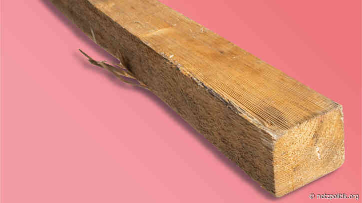 Kunstfreiheit: Ebay löscht „Kantholz“ vom Peng-Kollektiv aus dem Sortiment