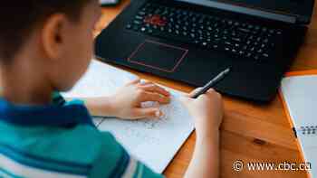 TDSB wants to centralize remote learning in a 'virtual school' as part of COVID-19 plan