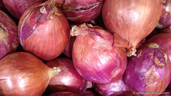 Salmonella Outbreak Linked To Onions Sickens Nearly 900 In 47 States